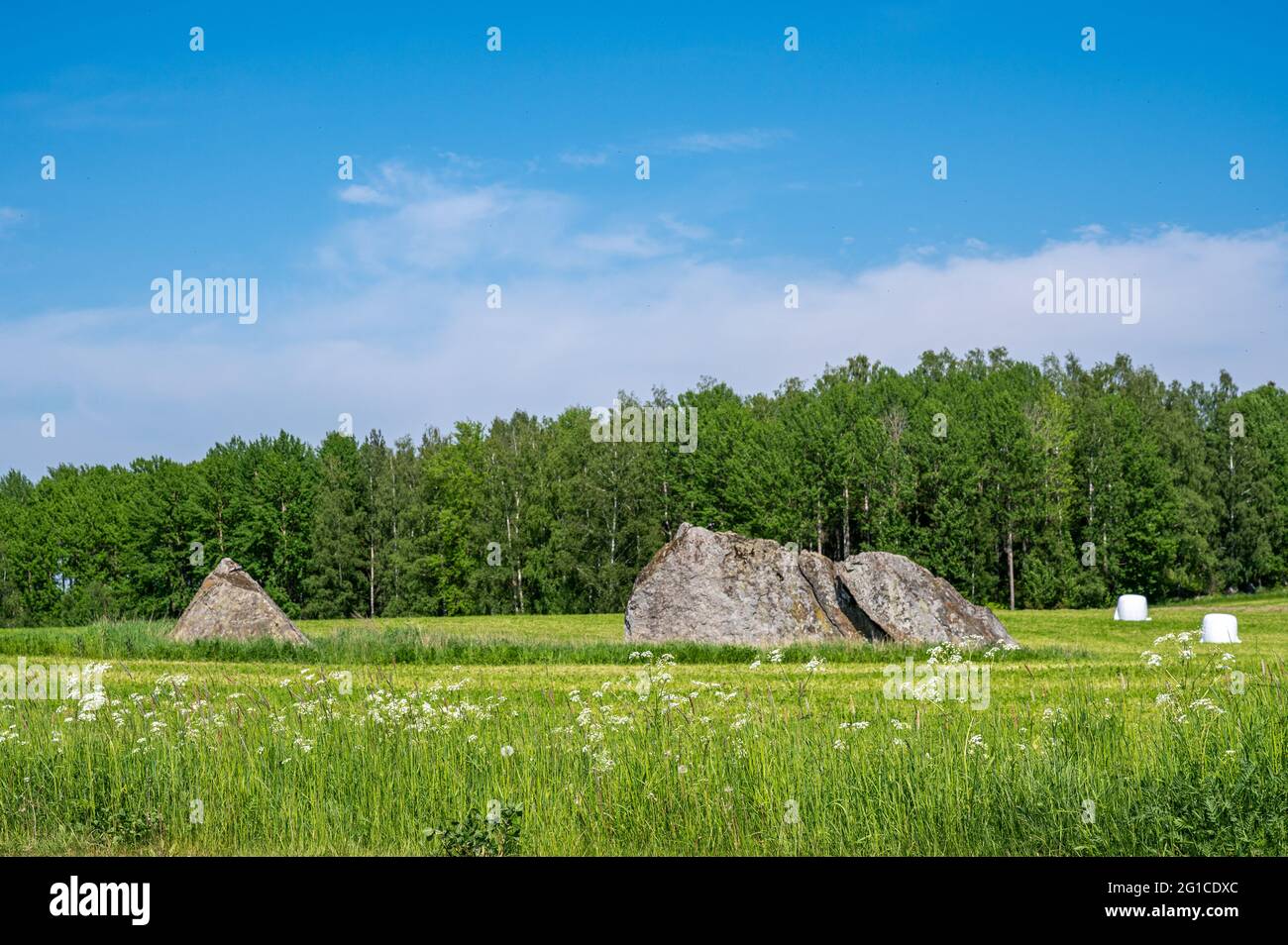 Giornata estiva soleggiato il 6 giugno 2021 nella campagna di Södermanland Svezia Foto Stock