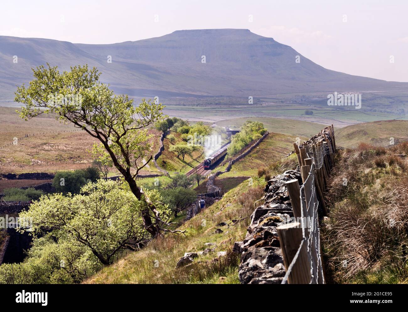 Un treno a vapore speciale visto a Blea Moor sulla linea ferroviaria Settle-Carlisle, con la vetta di Ingleborough, nelle valli dello Yorkshire, visto sullo sfondo. Foto Stock