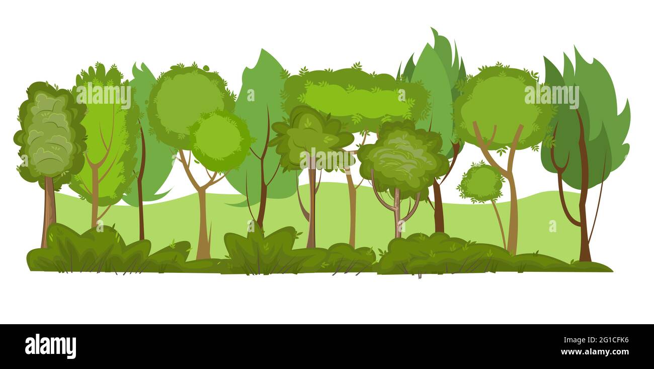 Paesaggio forestale estivo. Spessetti di nebbia leggeri. Fogliame denso. Vista su alberi verdi. Stile piatto cartoon. Illustrazione della natura. Vettore Illustrazione Vettoriale