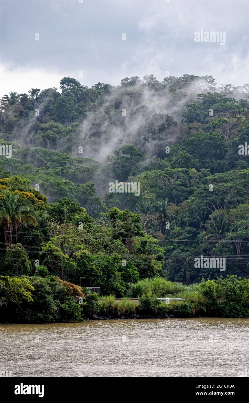 Navigazione verso il lago Gatun, canale di Panama, Panama, America Centrale - foresta pluviale tropicale a Panama Foto Stock