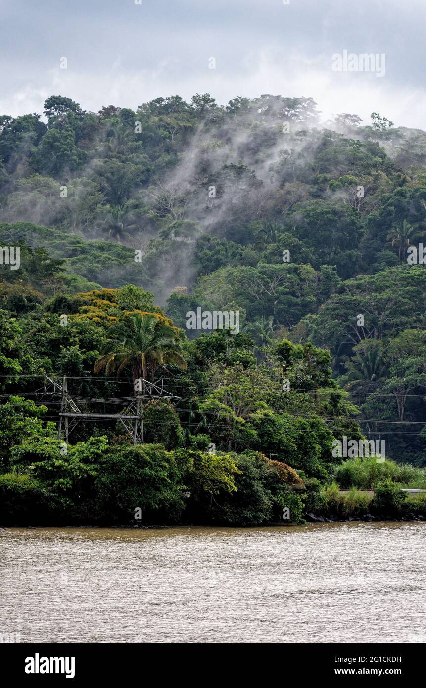 Navigazione verso il lago Gatun, canale di Panama, Panama, America Centrale - foresta pluviale tropicale a Panama Foto Stock