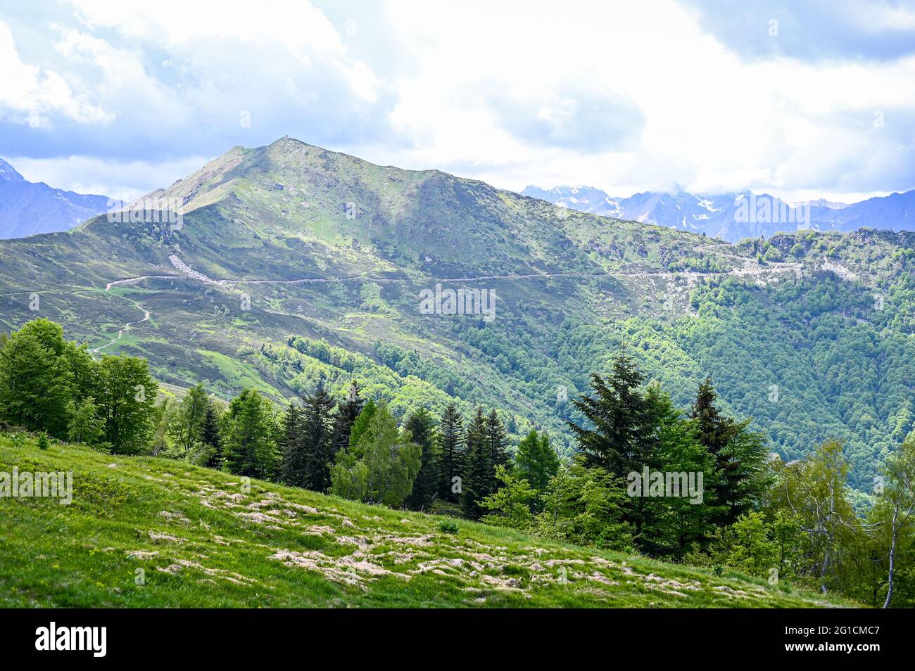 Verdi pascoli sull'Alpe di Mera in Valsesia, Piemonte, Italia in estate Foto Stock
