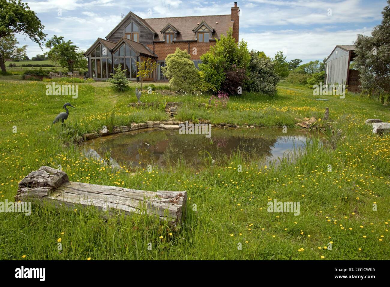 ecohouse vincitore di premi incorniciati in quercia con laghetto naturale in foregroung e fiori selvatici in erba non tagliata Colemans Hill Farm Mickleton Cotswolds giugno 2021 Foto Stock