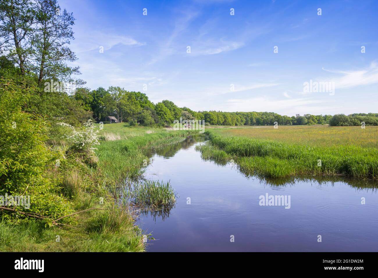 Fiume Drenste AA che scorre attraverso il paesaggio vicino a Schipborg, Paesi Bassi Foto Stock