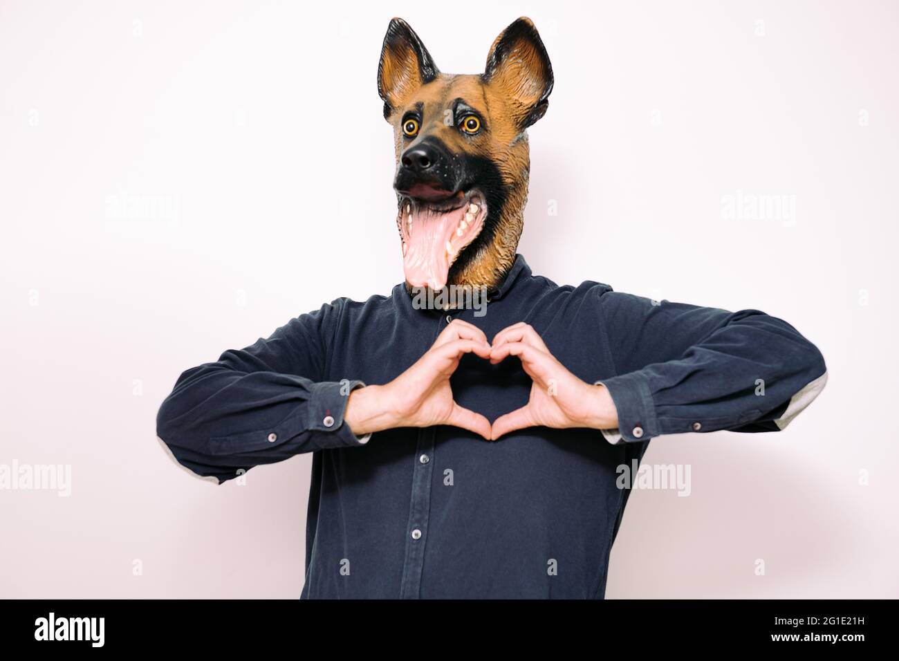 persona travestita con una maschera cane che fa una forma del cuore con le sue mani come segno di affetto su sfondo bianco, concetto di amore per gli animali domestici Foto Stock
