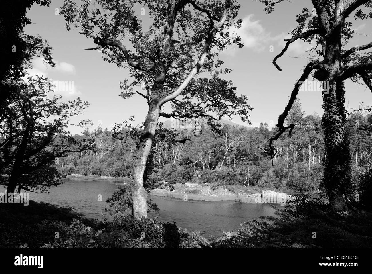 La costa sul fiume Kenmare, Contea di Kerry, Irlanda - John Gollop Foto Stock
