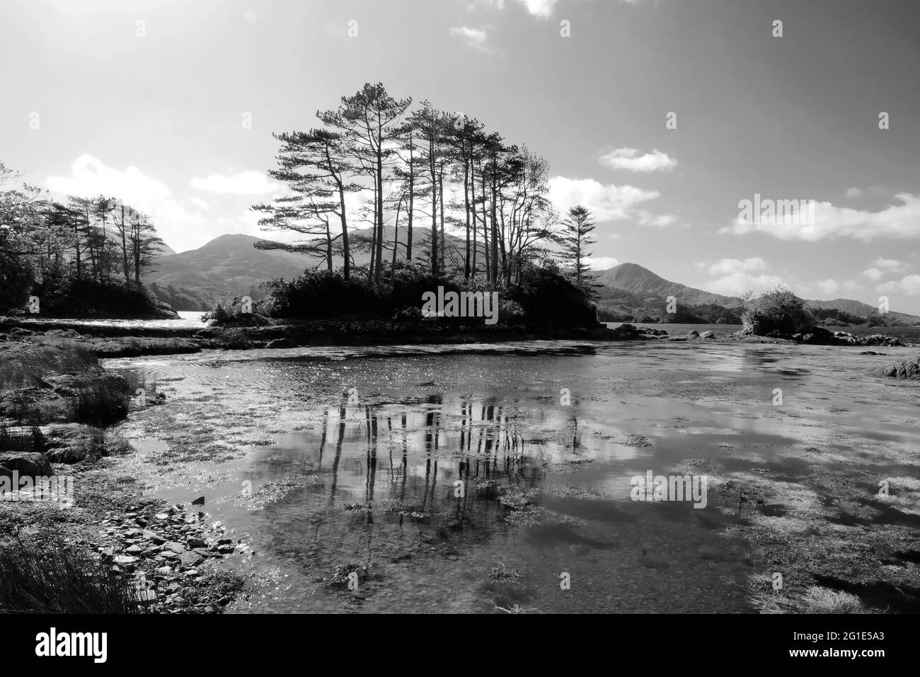 La costa sul fiume Kenmare, Contea di Kerry, Irlanda - John Gollop Foto Stock