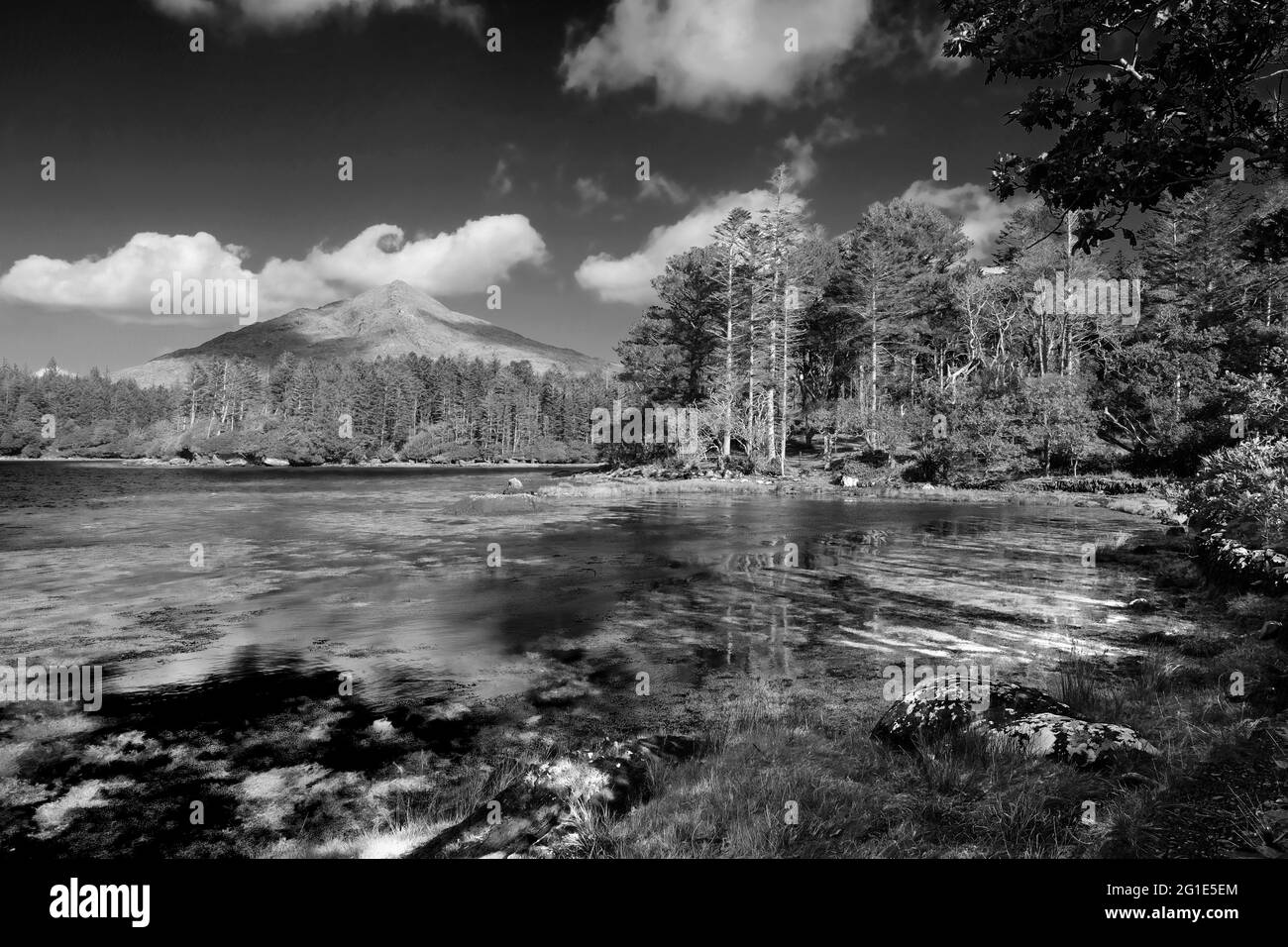 La costa sul fiume Kenmare, Contea di Kerry, Irlanda - John Gollop Foto Stock
