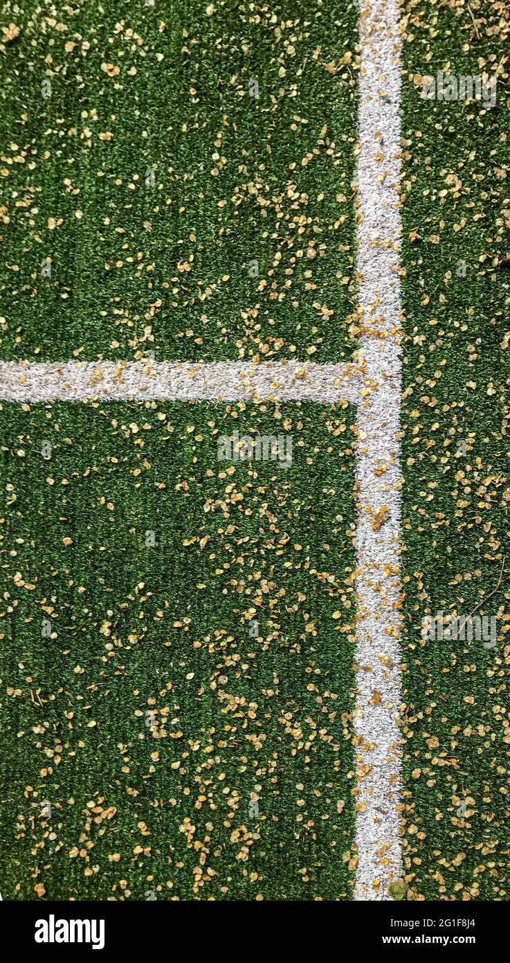 La copertura in erba dello stadio nel fogliame. Copertura autunnale dello stadio. Foto Stock