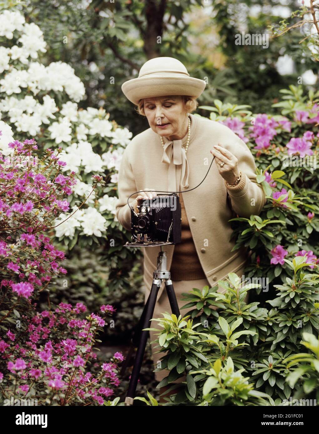 Persone, donne, anni '60, anziana signora con fotocamera che scatta una foto di fiori, DIRITTI AGGIUNTIVI-CLEARANCE-INFO-NON-DISPONIBILE Foto Stock