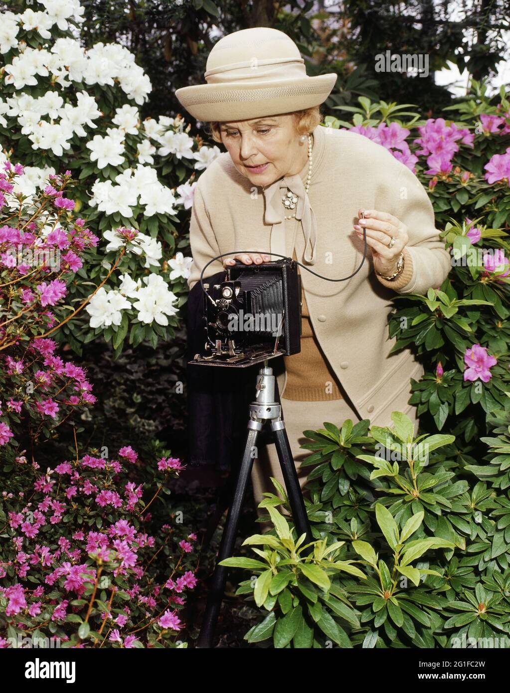 Persone, donne, anni '60, anziana signora con fotocamera che scatta una foto di fiori, DIRITTI AGGIUNTIVI-CLEARANCE-INFO-NON-DISPONIBILE Foto Stock