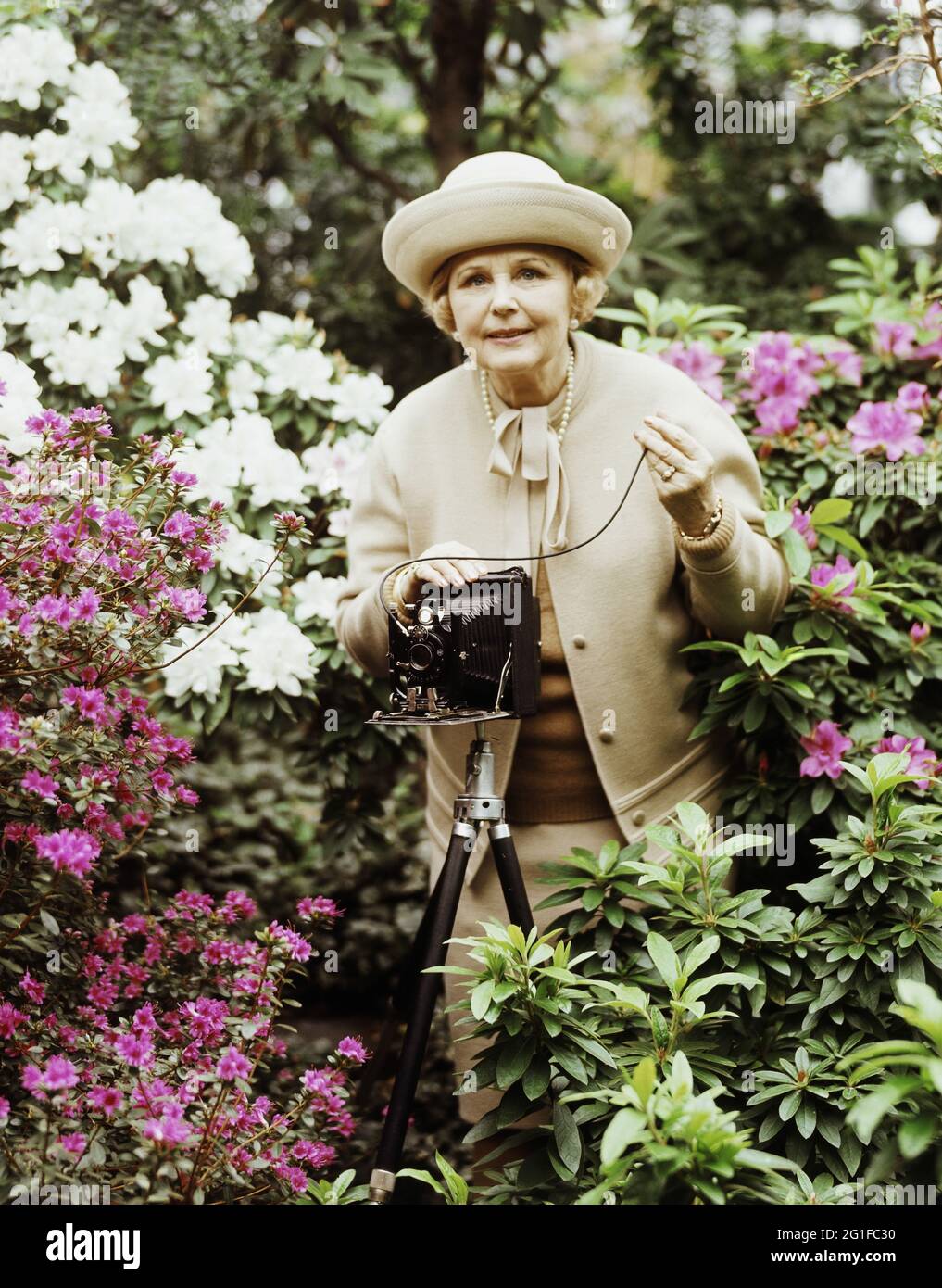 Persone, donne, anni '60, anziana signora con fotocamera che scatta una foto di fiori, DIRITTI AGGIUNTIVI-CLEARANCE-INFO-NON-DISPONIBILE Foto Stock