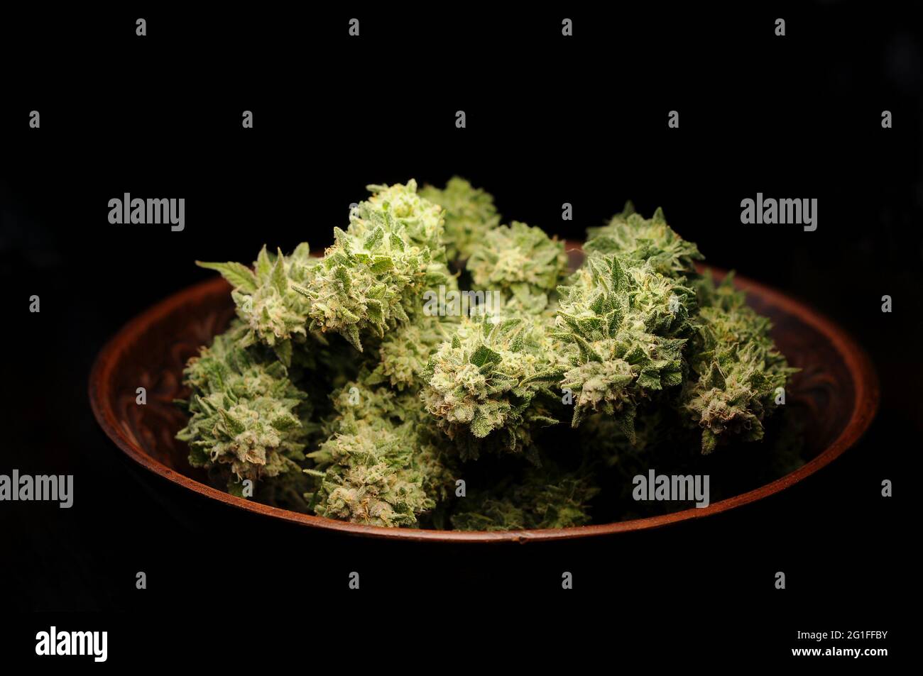Tempo di raccolta della cannabis. Essiccazione fiori di marijuana naturale closeup. Erbacce tagliate in tondino isolato su fondo nero. Marihuana città in crescita. Foto Stock