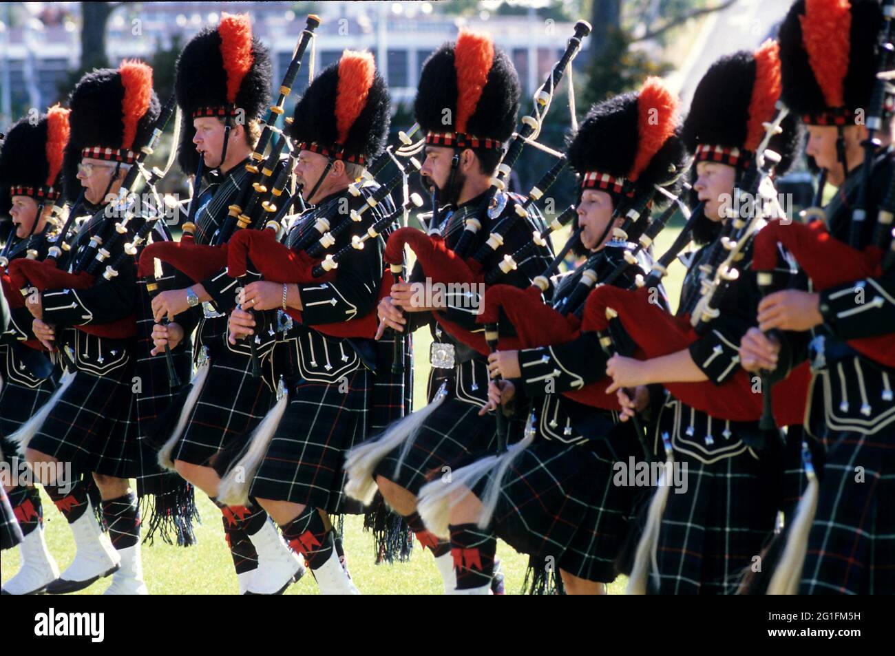 Highlandgames, highland games, pipeband, banda di cornamusa, piper, bagpipers, tartan, assegni, sporran, bearskin cap, scozia, duneden, scozia centrale Foto Stock