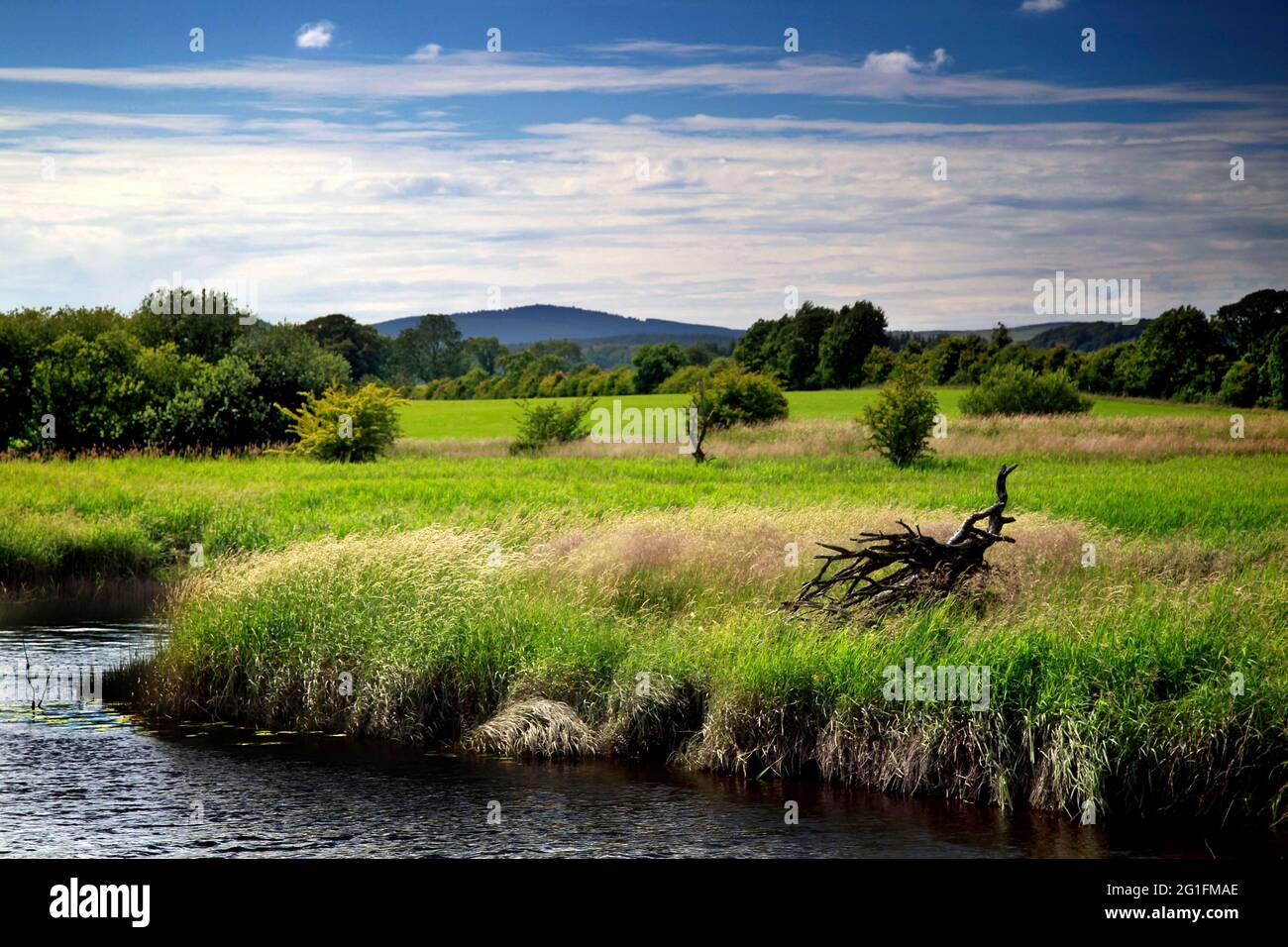 Castello Douglas, Paesaggio, Carlingwark Loch, Dumfries, Dumfries e Galloway, Lowlands, Scozia, Regno Unito Foto Stock
