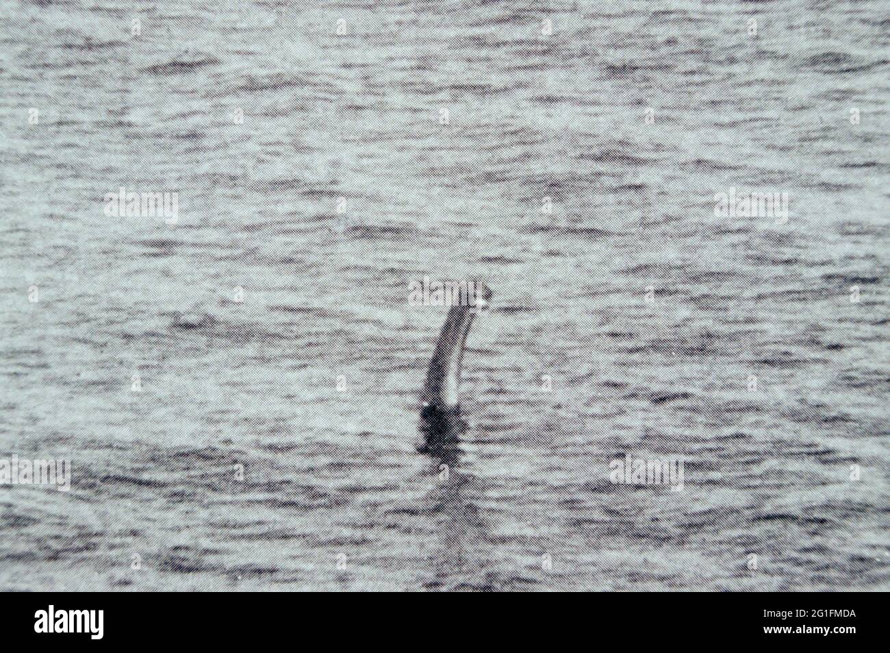 Loch Ness, lago, mostro, mostruosità, Nessie, Fotografia, foto in bianco e nero, foto storica, foto d'archivio, Highlands, Highlands, Scozia Foto Stock