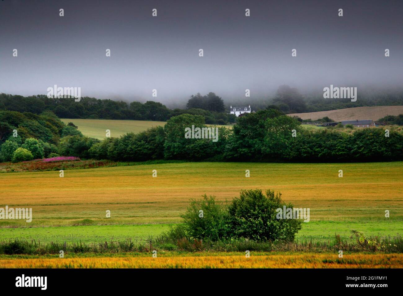 Paesaggio, collina, cottage, National Trust for Scotland, Culzean Castle, Maybole, South Ayrshire, Lowlands, Scozia, Regno Unito Foto Stock