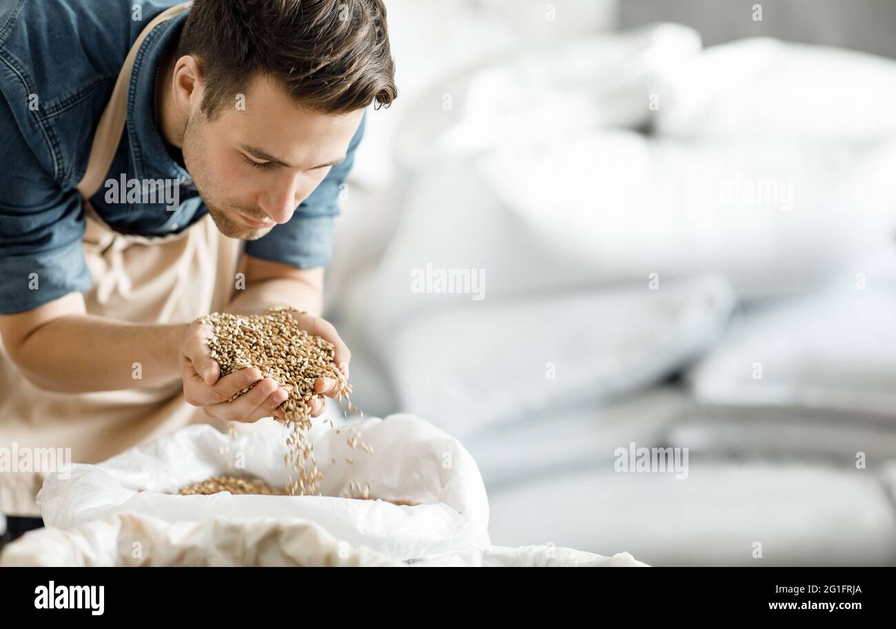 Moderna fabbrica di birra e di produzione, controllo della qualità dei cereali per la produzione artigianale di birra Foto Stock