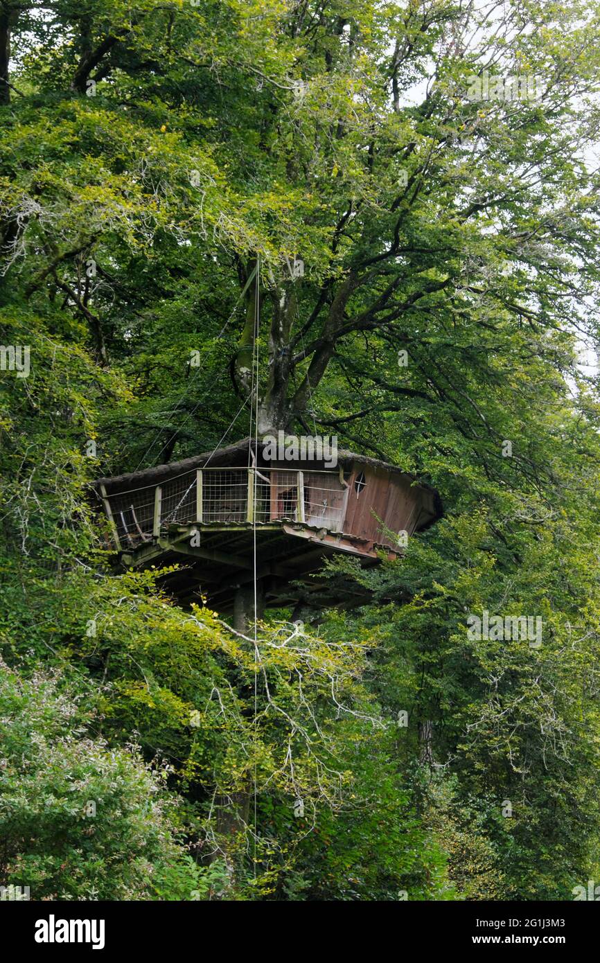 Quistinic, Pratmeur Valley (Bretagna, Francia nord-occidentale): treehouse Foto Stock