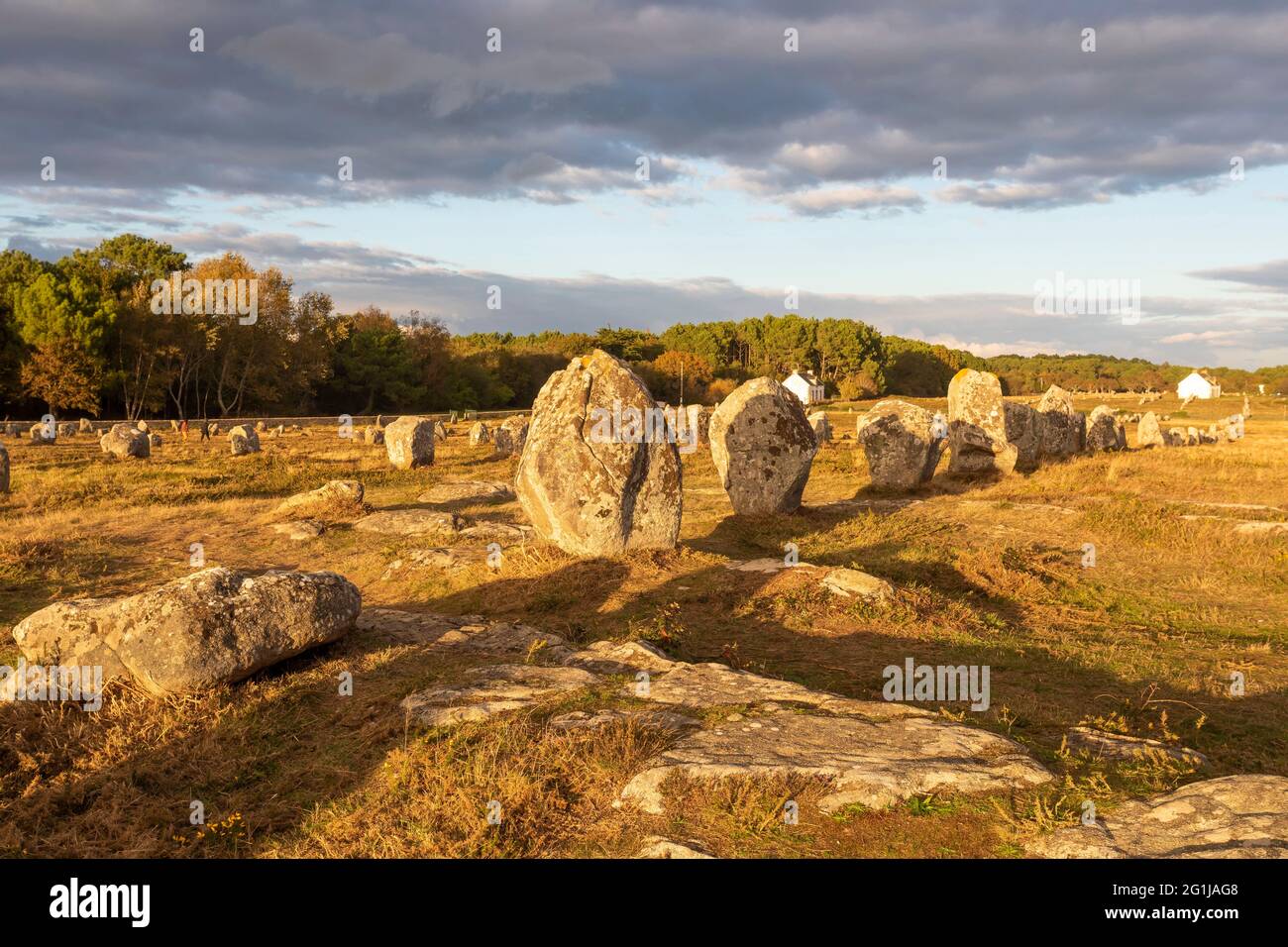 Carnac (Bretagna, Francia nord-occidentale): Le pietre di Menec Foto Stock