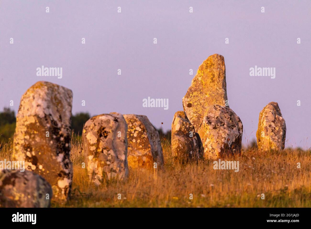 Carnac (Bretagna, Francia nord-occidentale): Le pietre di Menec Foto Stock