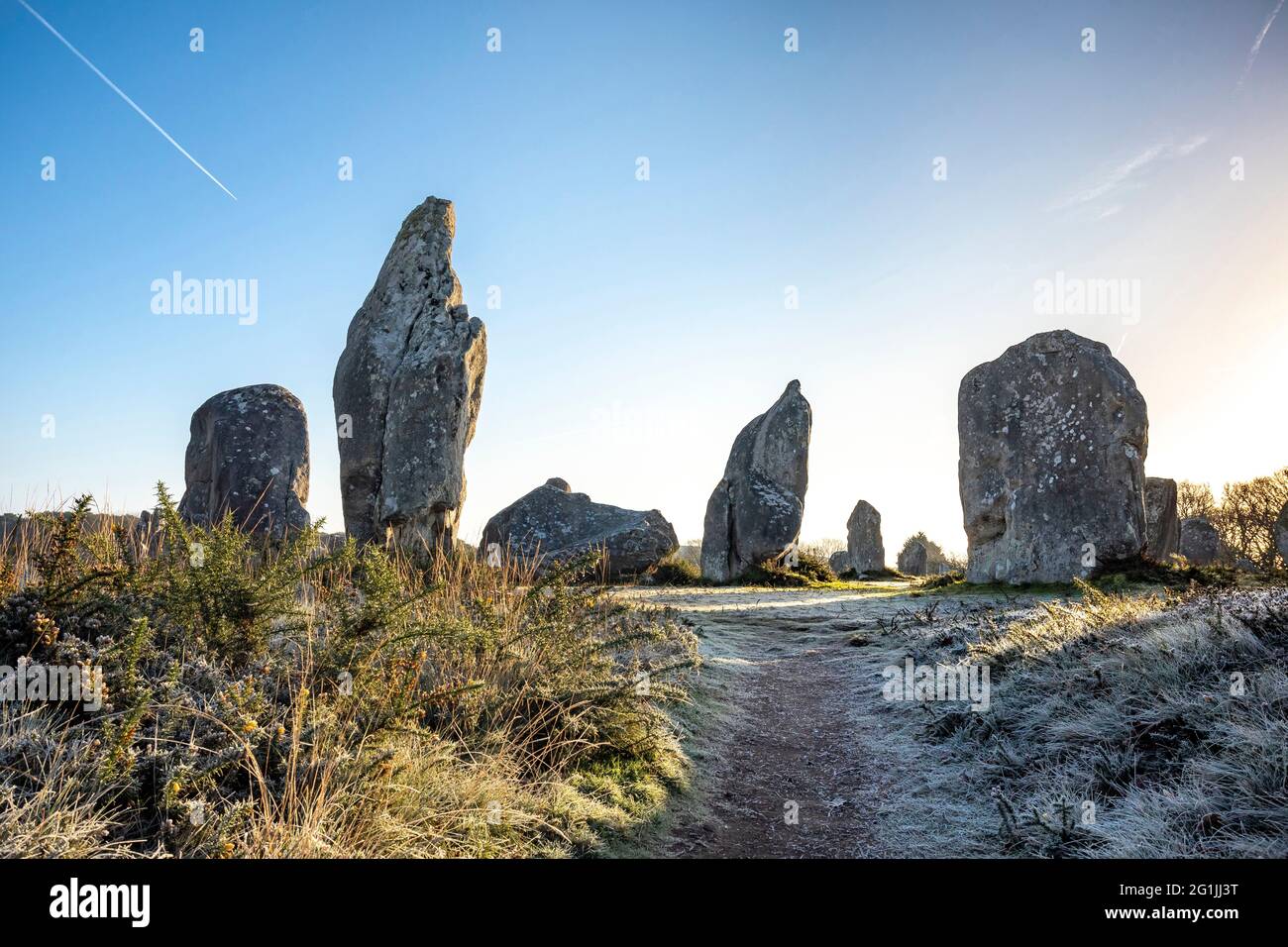 Carnac (Bretagna, Francia nord-occidentale): Allineamenti megalitici Kermario Foto Stock