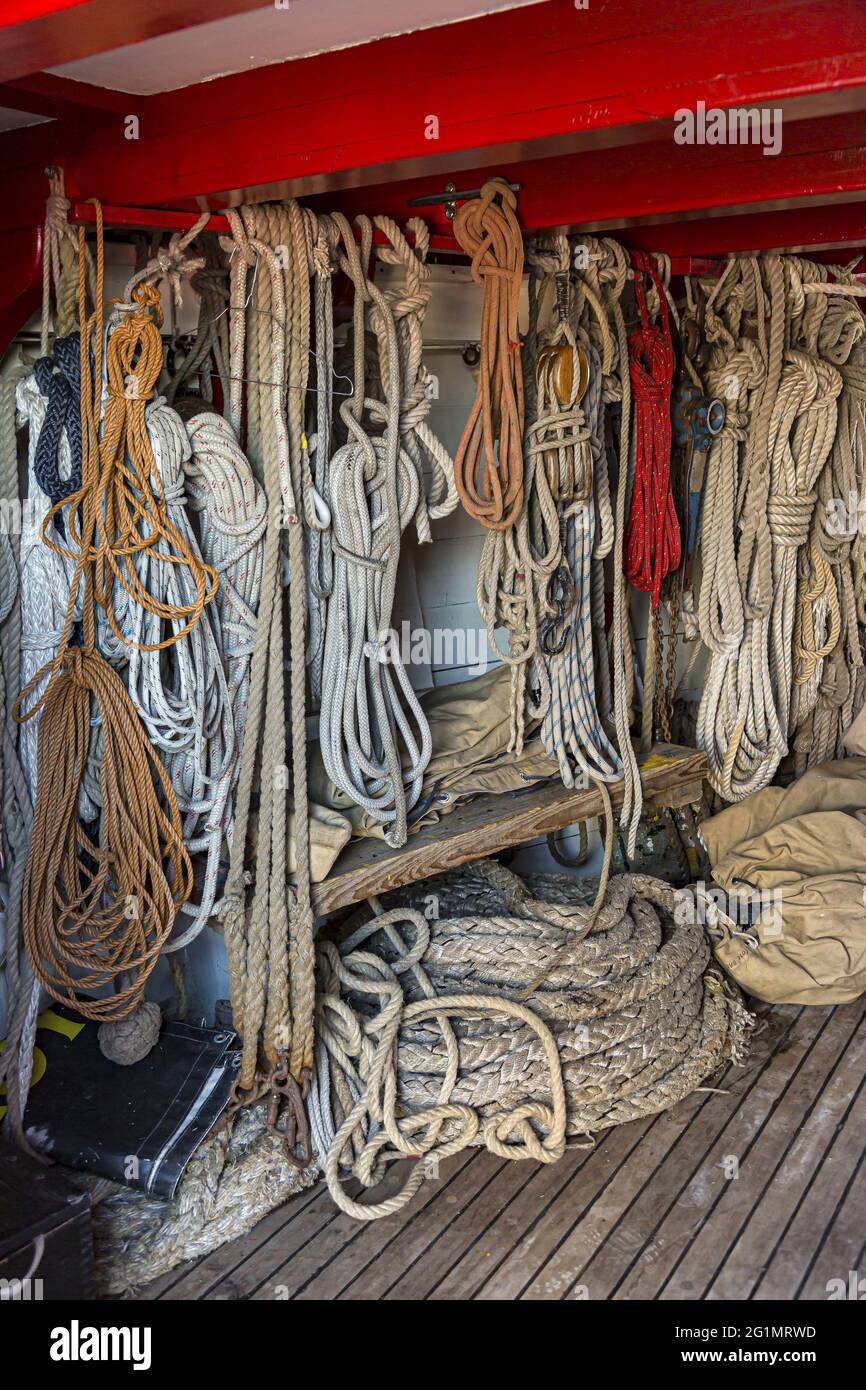 Francia, Gironde, Bordeaux, zona classificata come Patrimonio Mondiale, Bordeaux fte le fleuve, raccolta di barche a vela sulle rive della Garonna, l'Etoile du Roy, tre-masted piazza 46 m, replica ispirata da una fregata britannica del 18 ° secolo, tipo sesta fila con 20 pistole Foto Stock Francia, Gironde, Bordeaux, zona classificata come Patrimonio Mondiale, Bordeaux fte le fleuve, raccolta di barche a vela sulle rive della Garonna, l'Etoile du Roy, tre-masted piazza 46 m, replica ispirata da una fregata britannica del 18 ° secolo, tipo sesta fila con 20 pistole Foto Stock