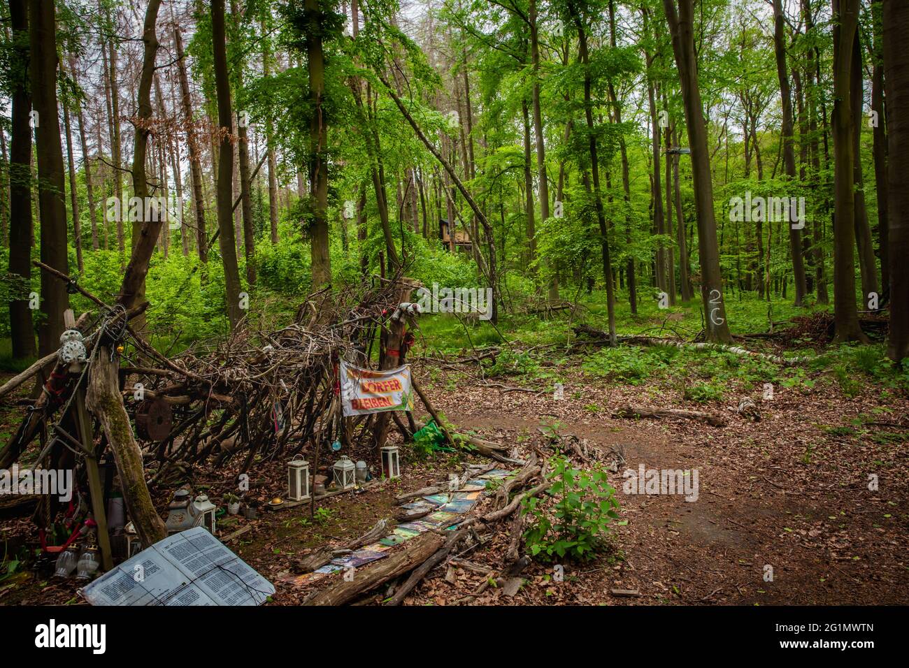 Dettagli natura conservazione attivisti protesta accampamento nella foresta di Hambach Foto Stock