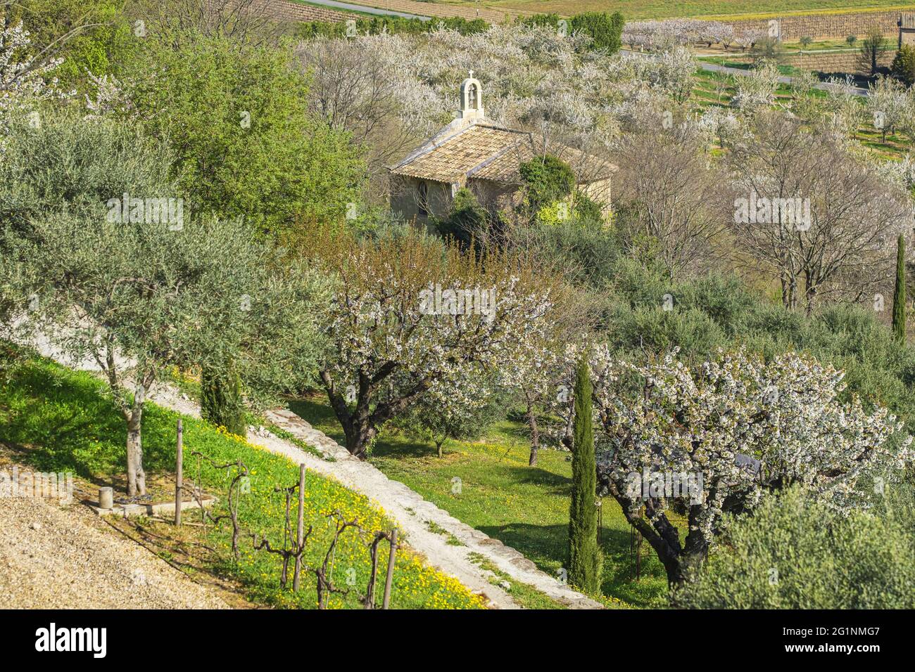 Francia, Vaucluse, Parco Naturale Regionale del Luberon, Menerbes, etichettato Les Plus Beaux Villages de France (i più bei villaggi di Francia), Notre-Dame des Graces cappella ai piedi del villaggio Foto Stock