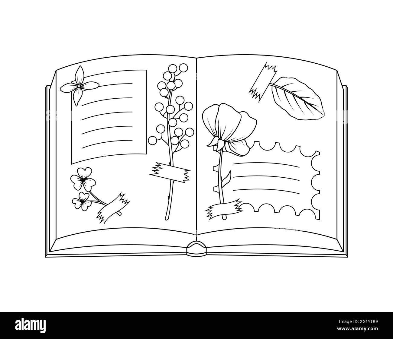 Album con foglie essiccate incollate al nastro. Erbario di foglie e fiori. Arte lineare Illustrazione Vettoriale