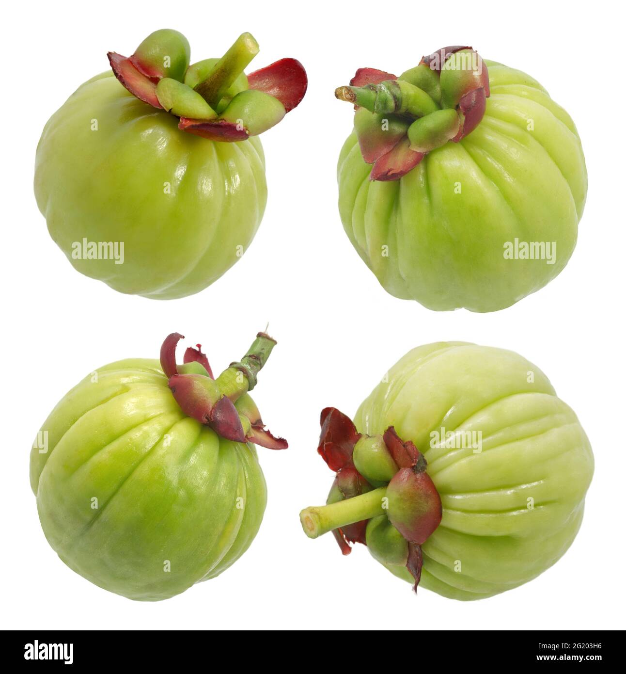 Garcinia atroviridis frutto isolato su sfondo bianco Foto Stock