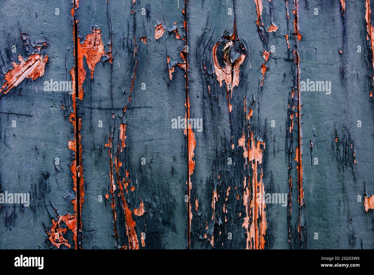 Sfondo grunge, vernice vecchia su porta di legno. Sfondo per i progettisti Foto Stock