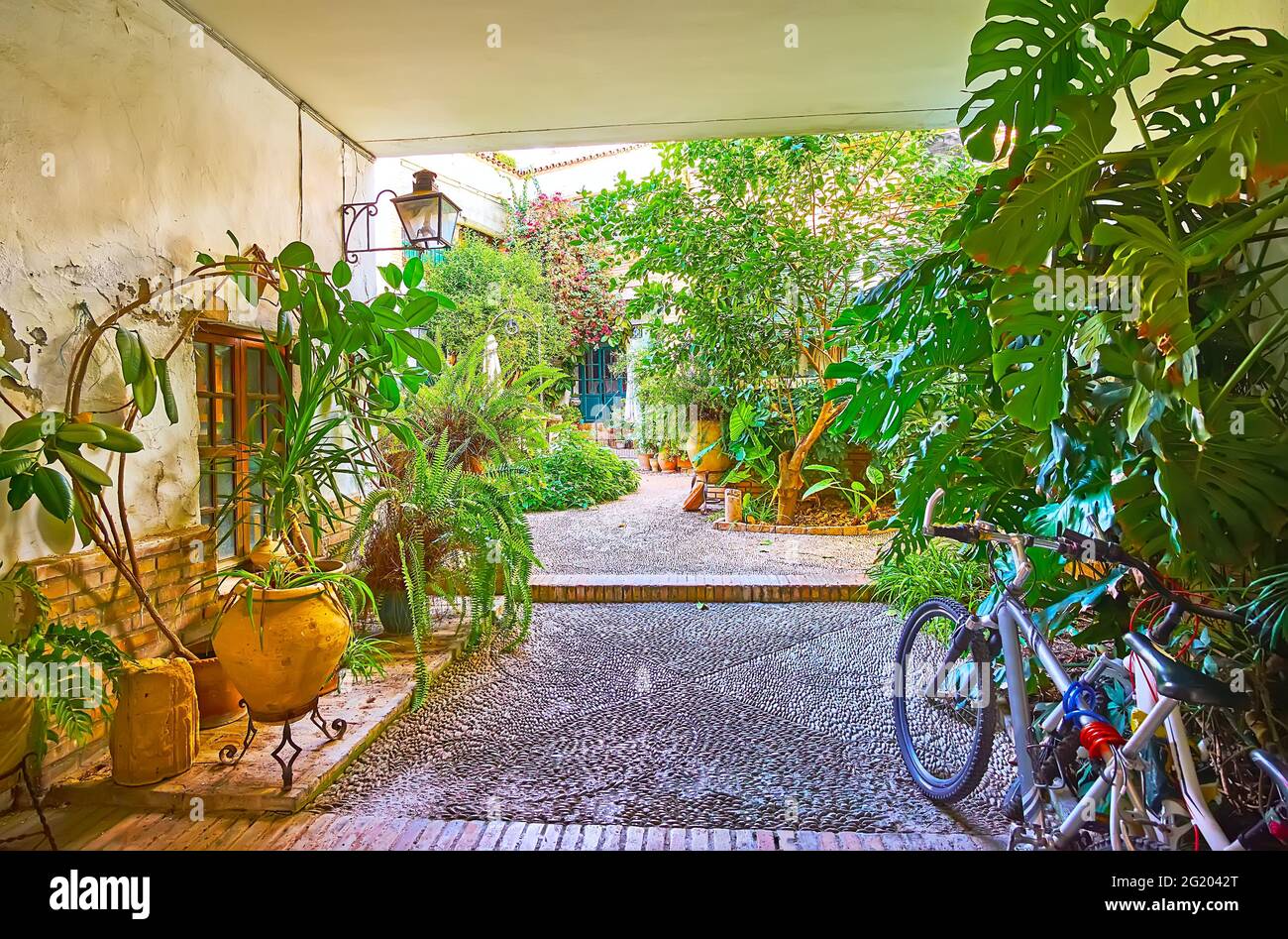 Il giardino panoramico nel piccolo cortile della città vecchia - gli alberi, cespugli in fiore, piante in vaso decorano tutto il territorio del cortile, Cordova, Spagna Foto Stock