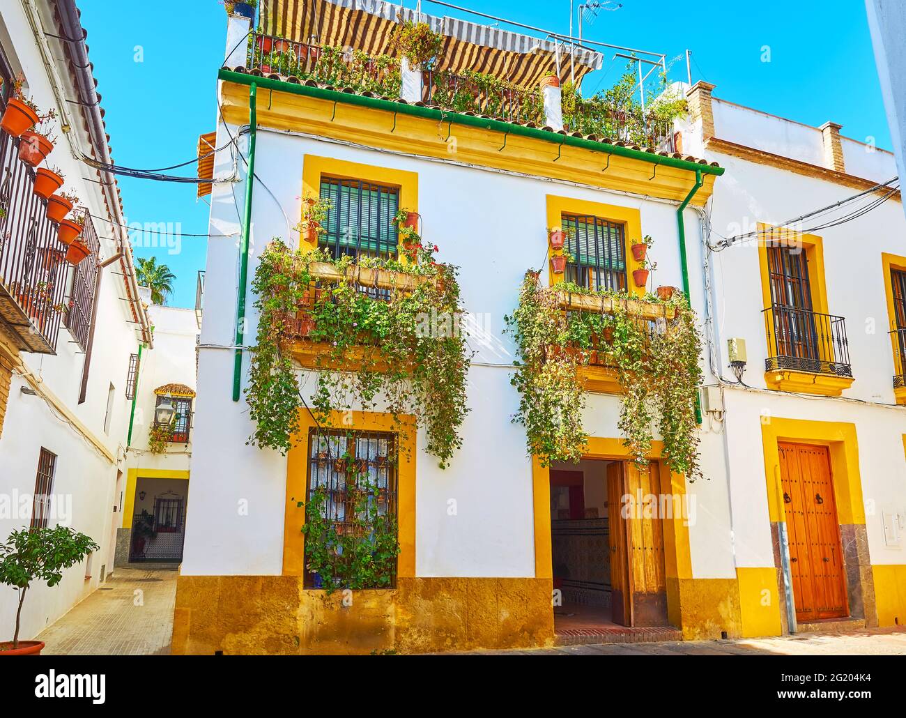 La scenografica casa storica in via Julio Romero de Torres, decorata con molte piante verdi in vasi, Cordova, Spagna Foto Stock