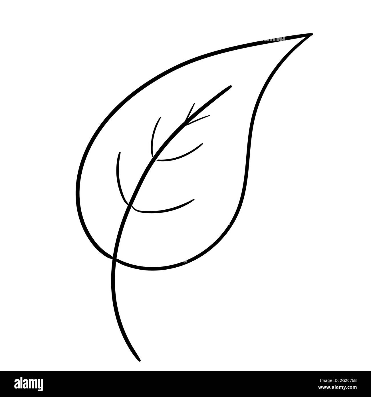 Concetto di foglia di ecologia. Isolato su sfondo bianco. Illustrazione botanica vettoriale. Elementi floreali di doodle disegnati a mano. Fiore primavera ed estate e vettore di piante in linea art profilo stile. Illustrazione Vettoriale