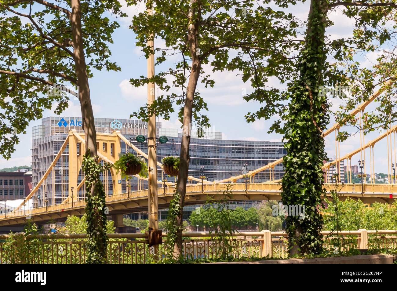 Il ponte Andy Warhol con l'edificio Arconic Alcoa alle sue spalle visto attraverso gli alberi del centro di Pittsburgh, Pennsylvania, USA Foto Stock