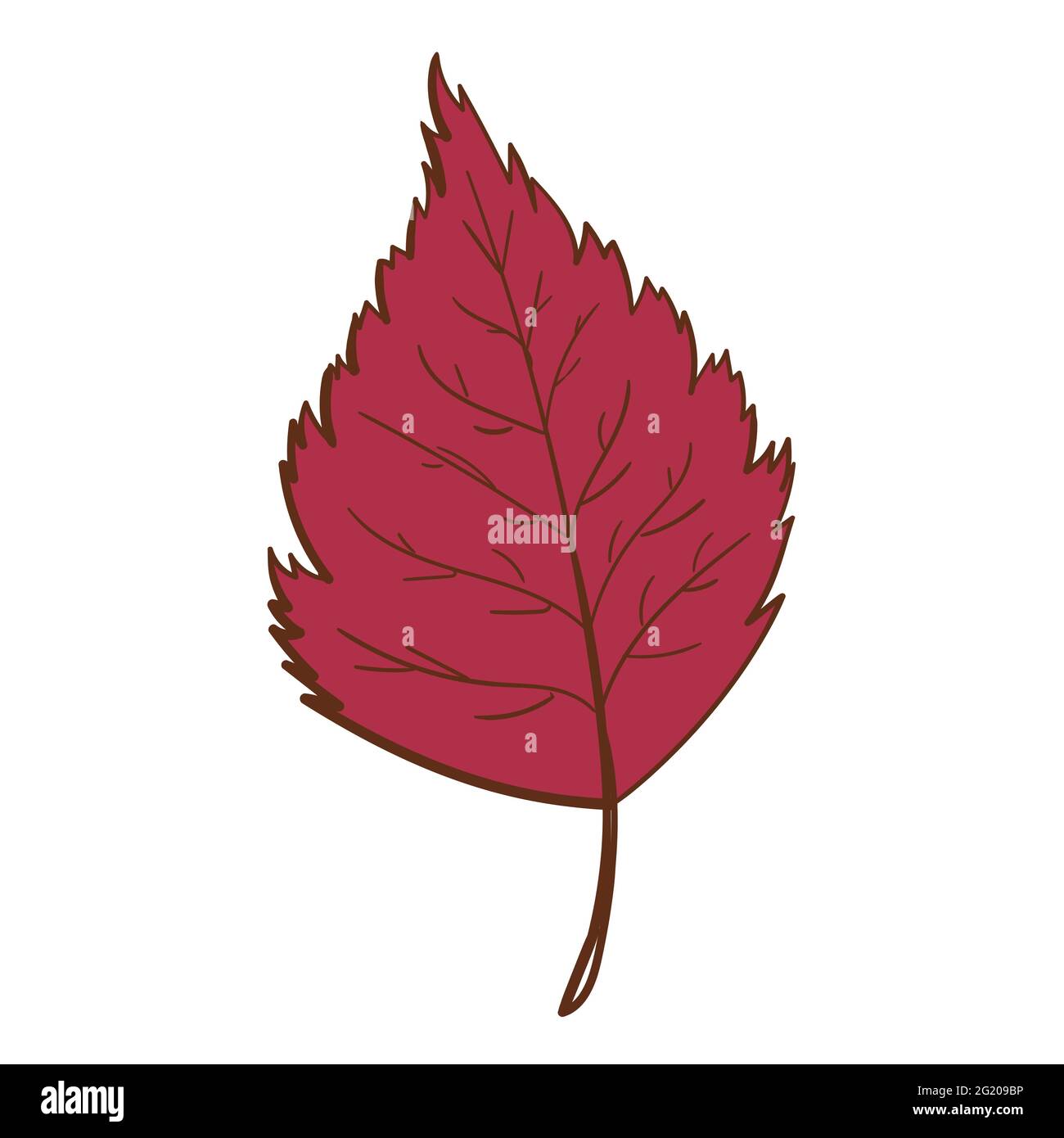 Concetto di foglia di ecologia. Isolato su sfondo bianco. Illustrazione botanica vettoriale. Elementi floreali di doodle disegnati a mano. Fiore primavera ed estate e vettore di piante in linea art profilo stile. Illustrazione Vettoriale