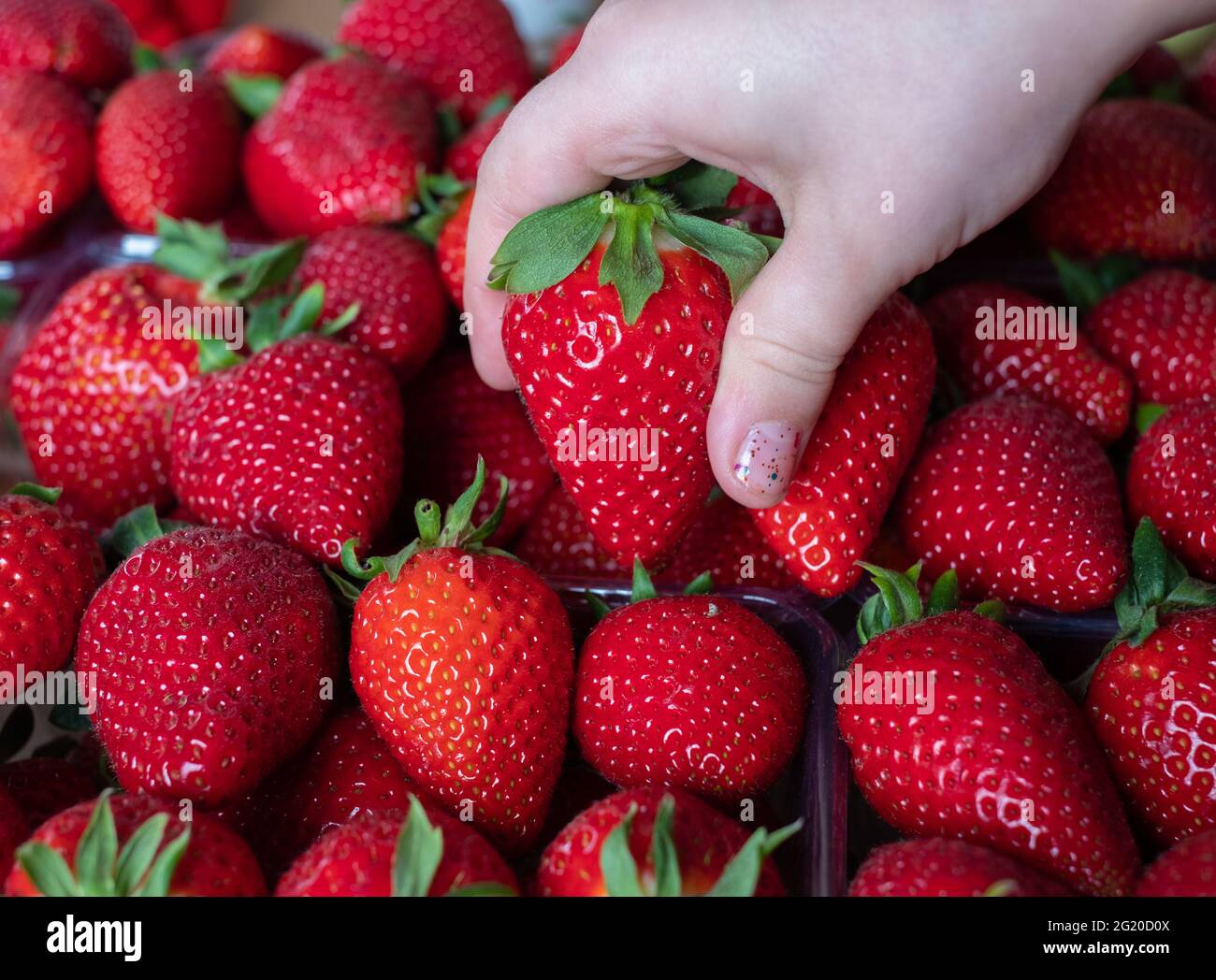 Frutta greca fresca raccolta a mano. Fotogramma intero. Foto Stock