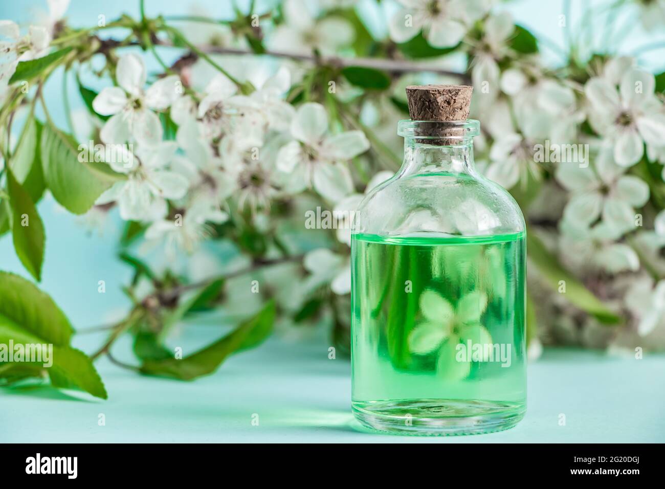 Bottiglia con olio cosmetico naturale e fiori su sfondo blu. Concetto di aromaterapia e benessere termale. Prodotto organico per la cura della pelle. Foto Stock