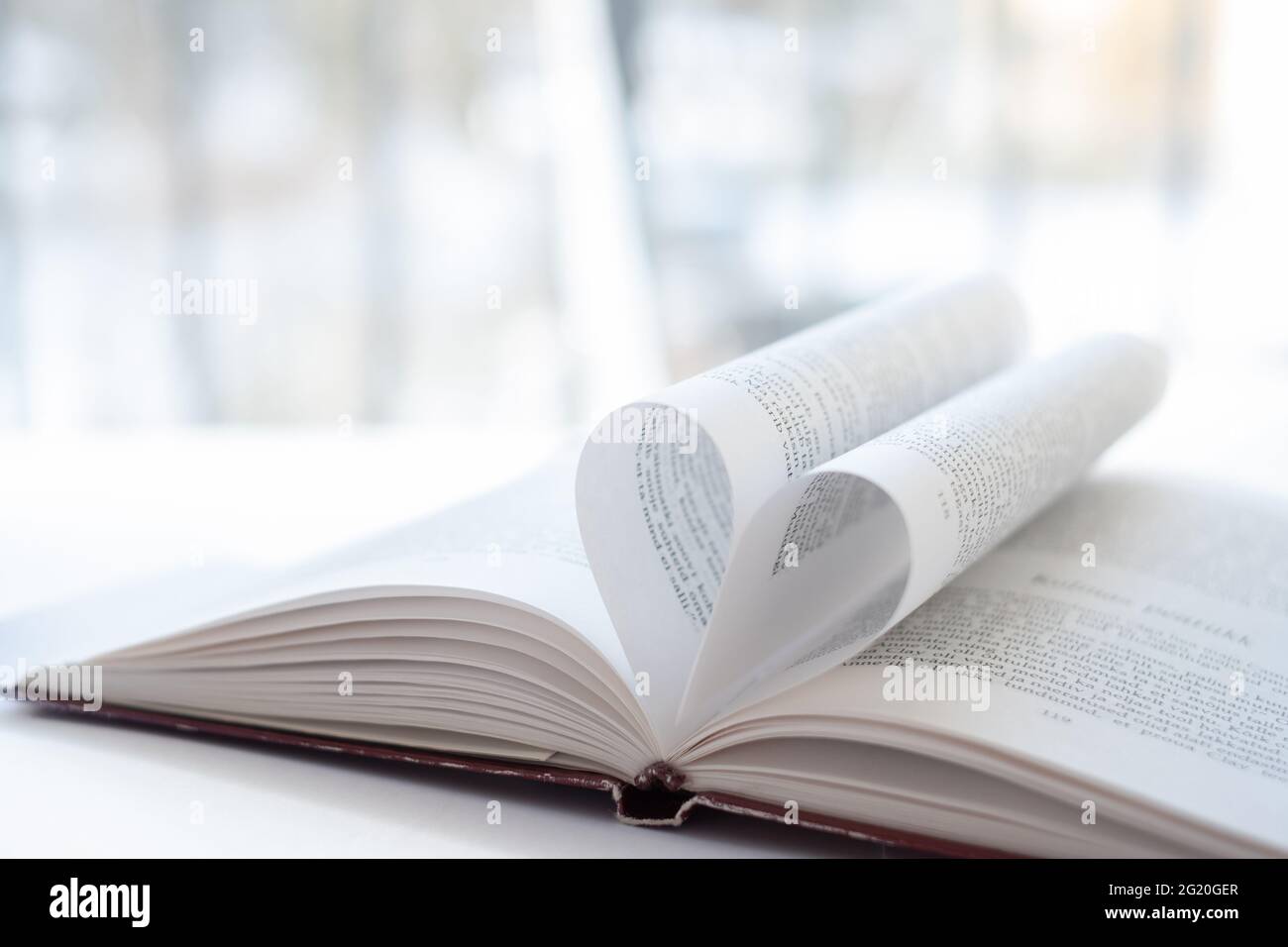 Amore lettura libri concetto. Storia d'amore scritta romantica. Foto Stock