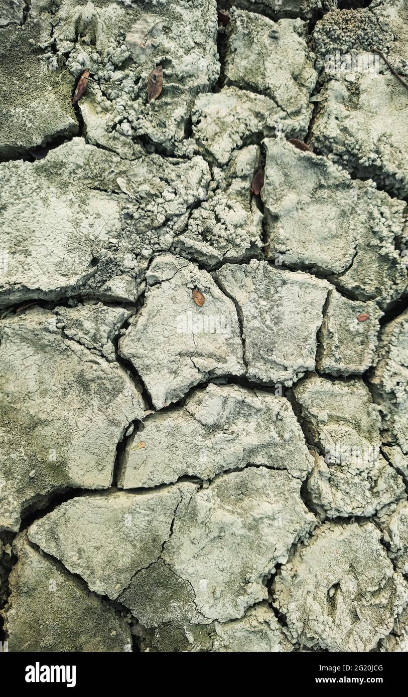 Closeup di suolo asciutto. Terreno incrinato per lo sfondo. Crack secco suolo in siccità, colpiti dal riscaldamento globale ha fatto il cambiamento climatico. Mancanza di acqua. Foto Stock