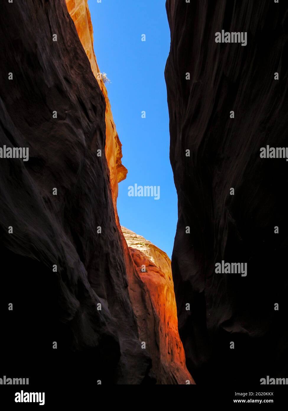 Guardando verso l'alto attraverso il cielo blu luminoso dai confini stretti di Dryfork slot, un canyon slot nello Utah Foto Stock