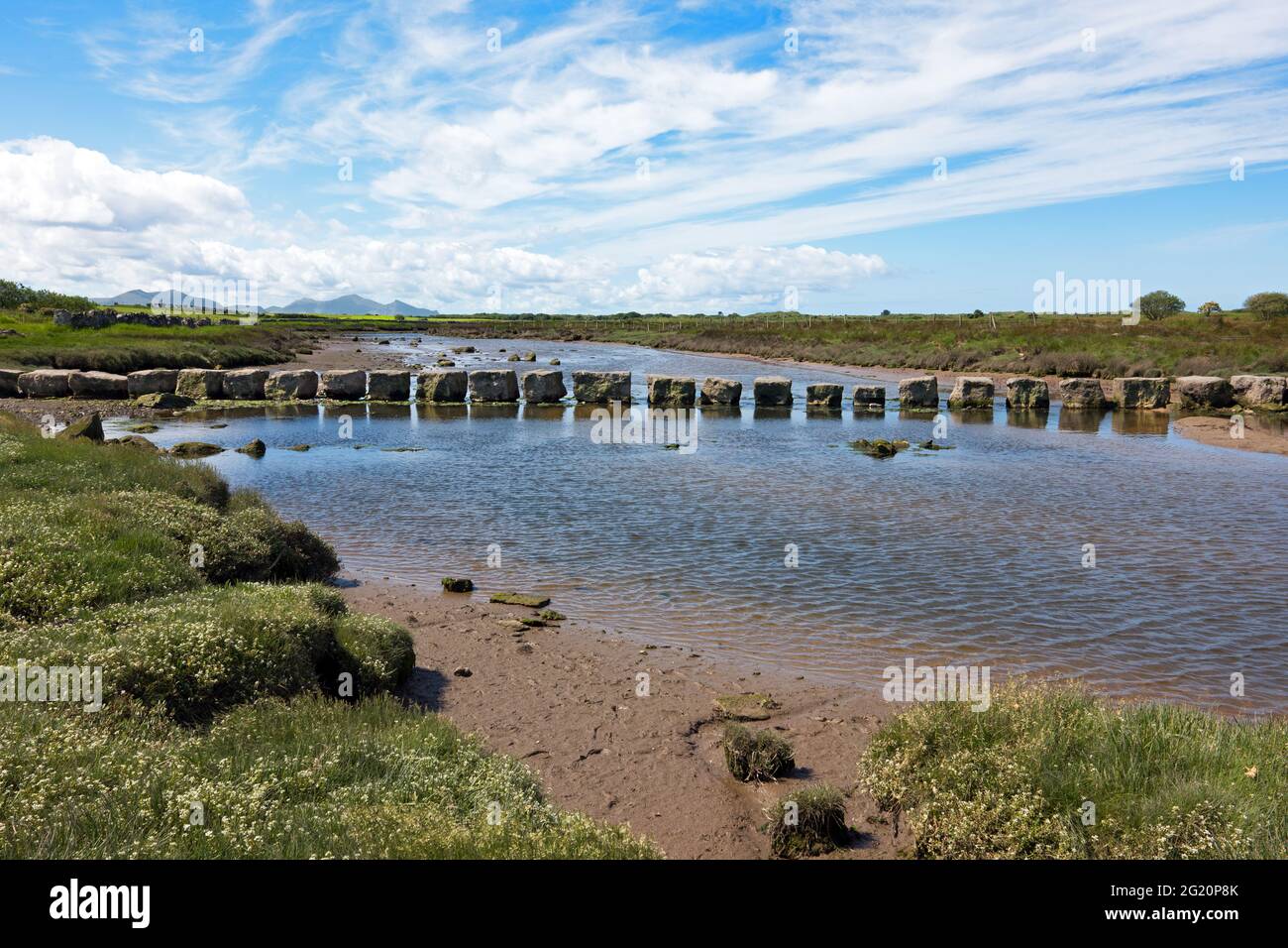 Le pietre rhuddgaer o Giant's Stepping attraversano il fiume Braint vicino a Newborough sull'Isola di Anglesey, Galles. Sono grandi blocchi di pietra calcarea. Foto Stock