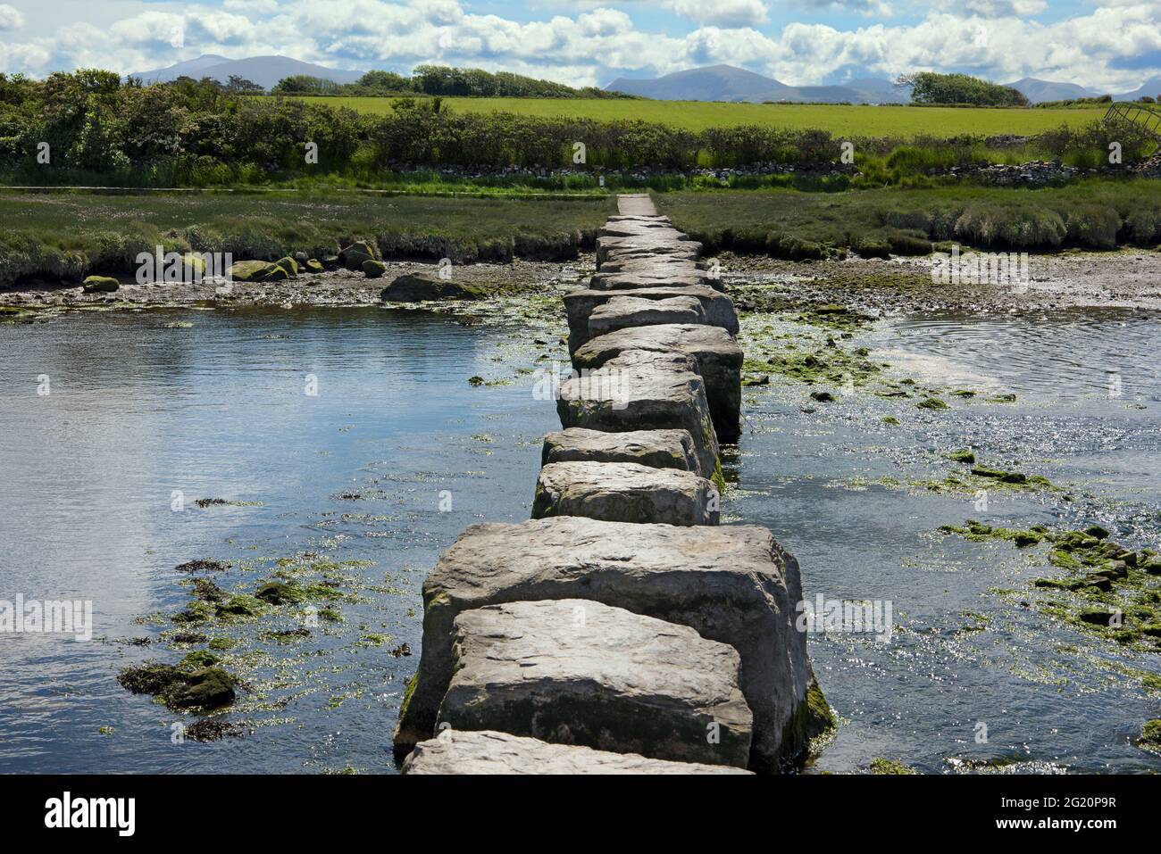 Le pietre rhuddgaer o Giant's Stepping attraversano il fiume Braint vicino a Newborough sull'Isola di Anglesey, Galles. Sono grandi blocchi di pietra calcarea. Foto Stock