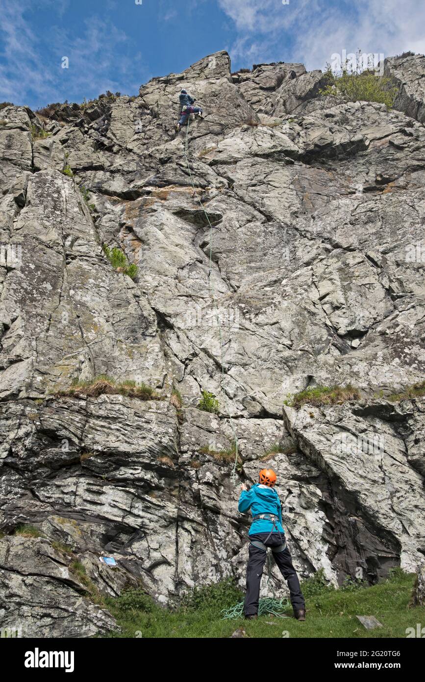 Una giovane scalatrice femminile sbelayed a Rockdust Crag, vicino a Pitlochry, Perth e Kinross, Scozia, Regno Unito. Foto Stock