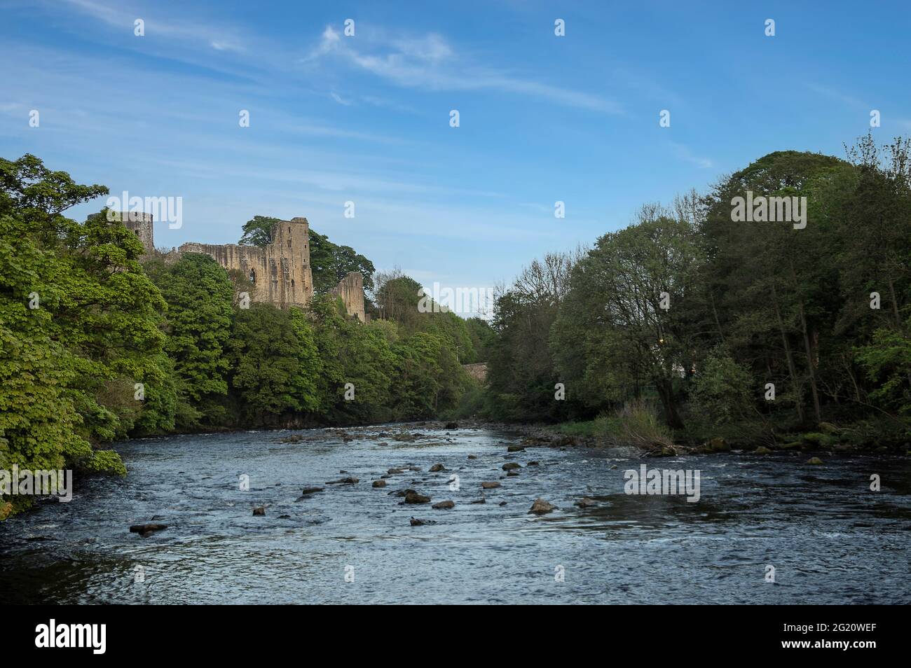 The River Tees nel castello di Barnard nella contea di Durham, Regno Unito Foto Stock