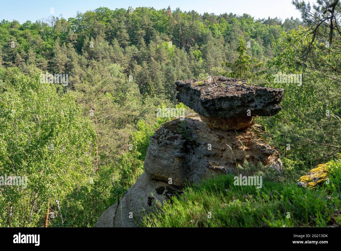 Formazione rocciosa 'Jestřebické pokličky', Kokořínsko, Czechia. La cosiddetta "tavola da tè", risultato dell'erosione selettiva delle pietre ferrose. Foto Stock