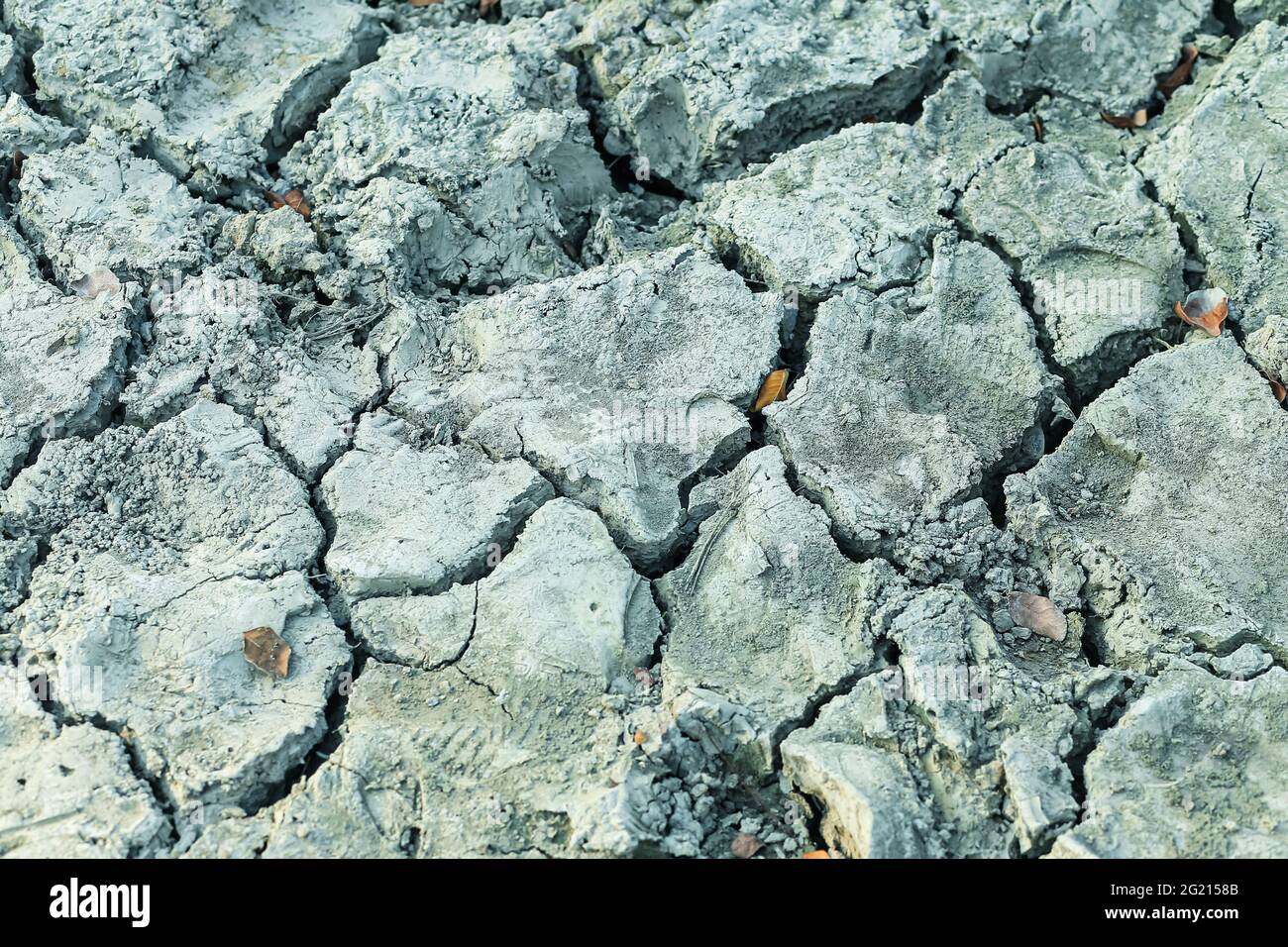 Closeup di suolo asciutto. Terreno incrinato per lo sfondo. Crack secco suolo in siccità, colpiti dal riscaldamento globale ha fatto il cambiamento climatico. Mancanza di acqua. Foto Stock