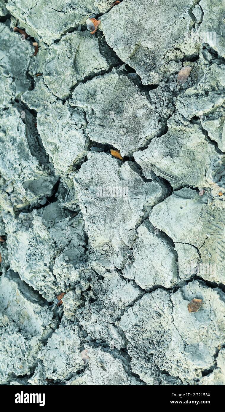 Closeup di suolo asciutto. Terreno incrinato per lo sfondo. Crack secco suolo in siccità, colpiti dal riscaldamento globale ha fatto il cambiamento climatico. Mancanza di acqua. Foto Stock