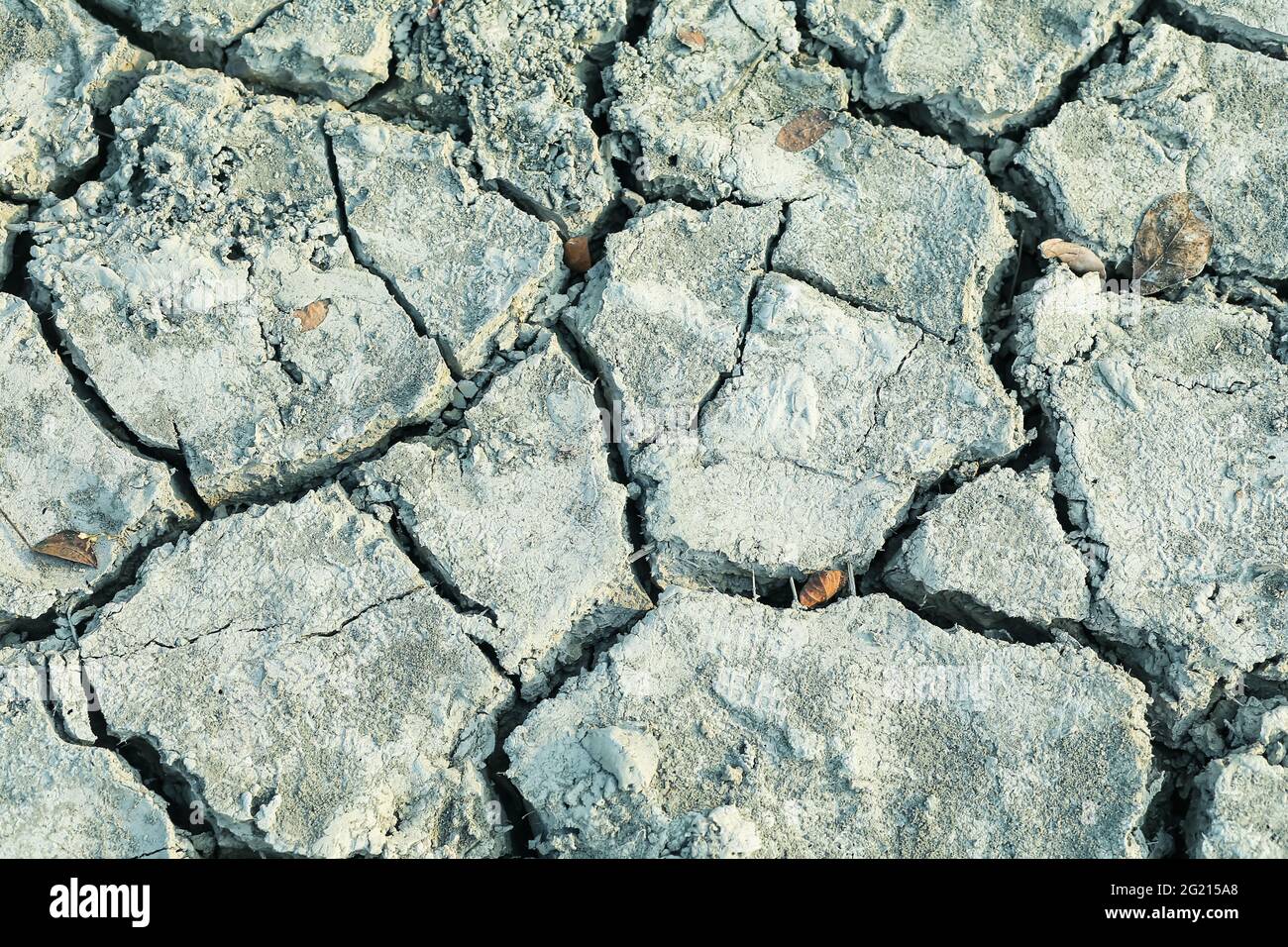 Closeup di suolo asciutto. Terreno incrinato per lo sfondo. Crack secco suolo in siccità, colpiti dal riscaldamento globale ha fatto il cambiamento climatico. Mancanza di acqua. Foto Stock